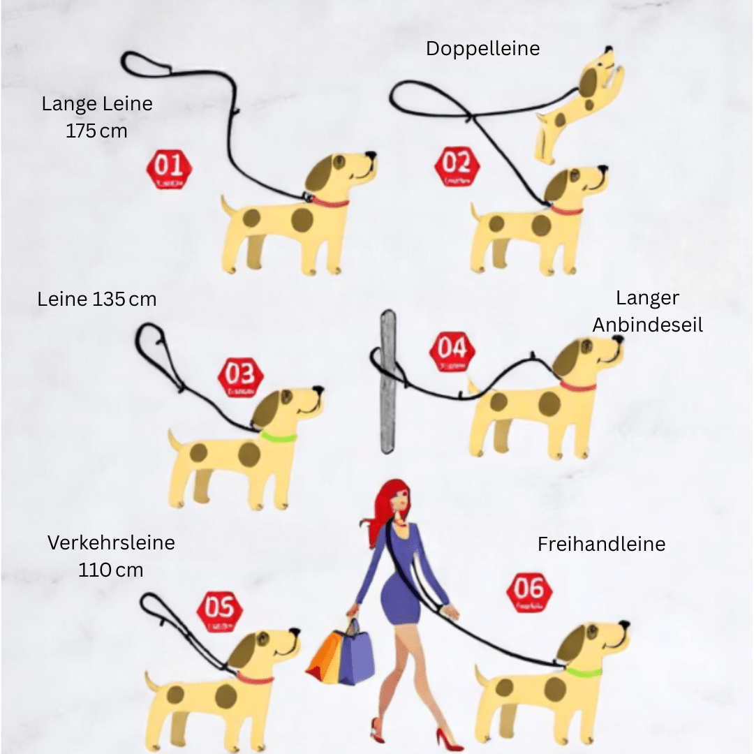 7-in-1 Multifunktionsleine