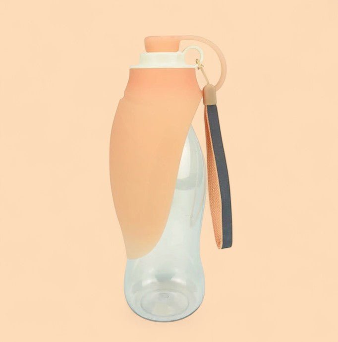 Trinkflasche für Unterwegs