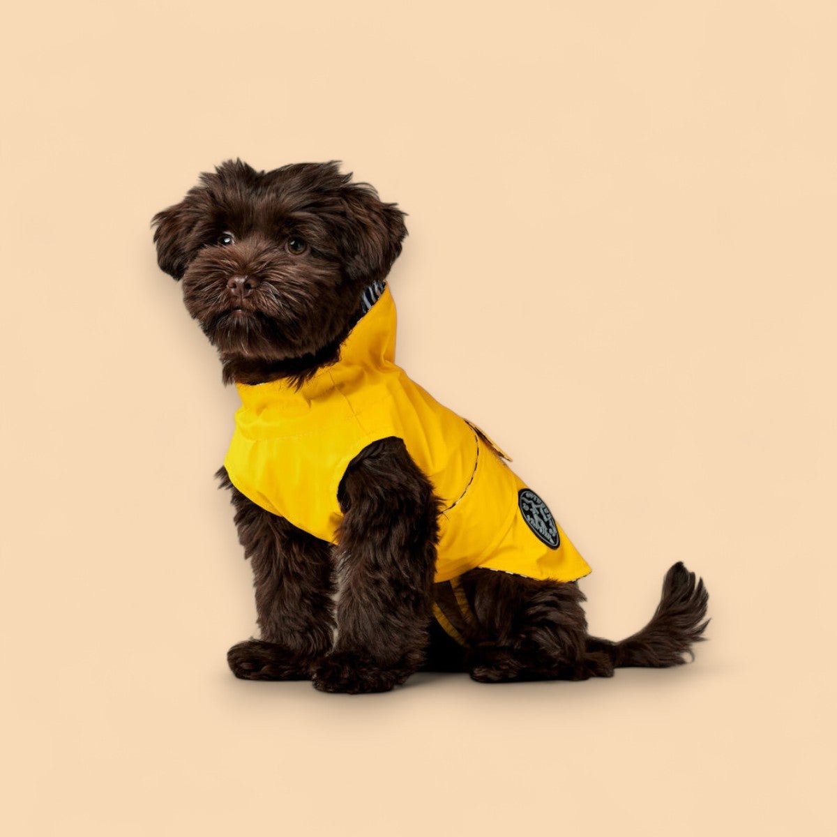 Hund trägt MILFORD Regenmantel – wasserdicht & bequem von Tommy’s Wuffhaus