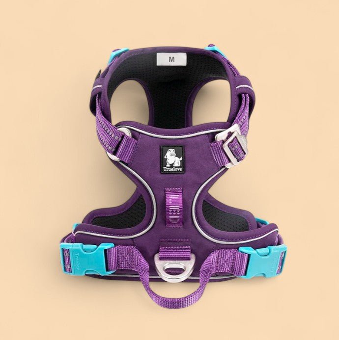 TrueLove Premium-Hundegeschirr